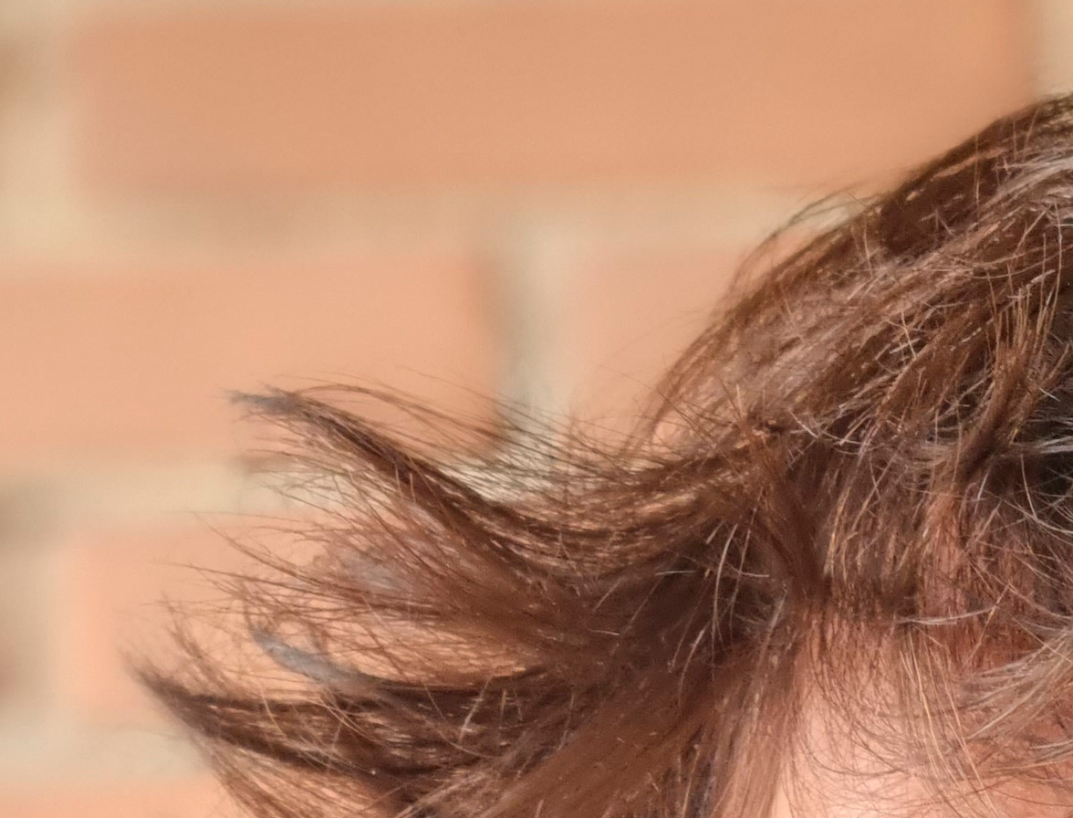1612496887 960 Le mode portrait de Samsung est fou voici comment cela