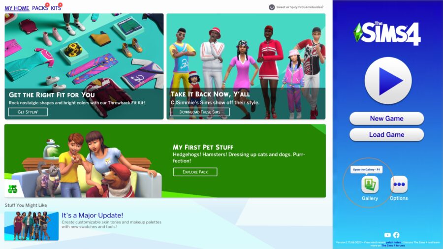 Comment télécharger dans la galerie dans Les Sims 4 2 Comment telecharger dans la galerie dans Les Sims 4