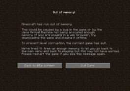 A Minecraft error code.