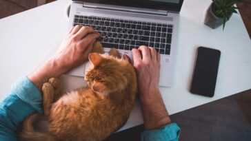 Facebook reflète Twitter, permettra à certains employés de travailler à domicile indéfiniment 5 Facebook mirrors Twitter, will let some employees work from home indefinitely
