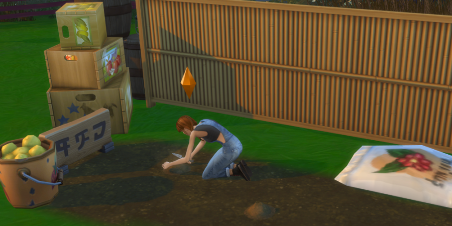 Comment planter des graines dans les Sims 4 4 1619149508 944 Comment planter des graines dans les Sims 4