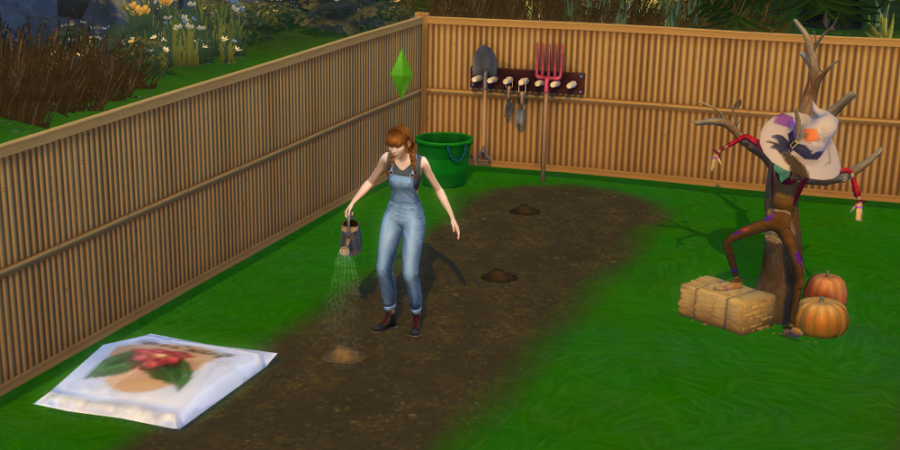 Comment planter des graines dans les Sims 4 5 1619149510 458 Comment planter des graines dans les Sims 4