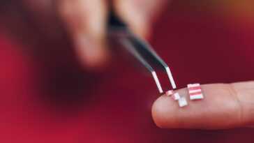 A $2 billion startup dismissed its CEO for microdosing LSD at work