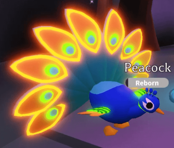 Comment obtenir un paon néon dans Roblox Adoptez-moi 2 Comment obtenir un paon neon dans Roblox Adoptez moi