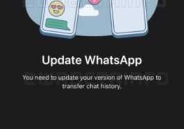 WhatsApp prépare un outil pour migrer vos chats entre Android et iOS