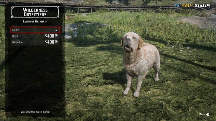 Guide du commerçant en ligne Red Dead 4 1620250591 294 Guide du commercant en ligne Red Dead