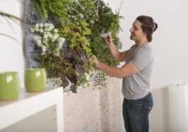 Grandes manœuvres de printemps, pour la maison et le jardin, la solution est en ligne
