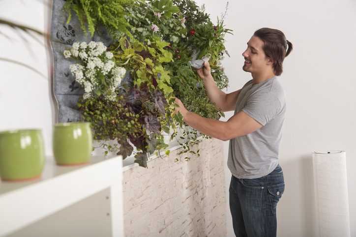 Grandes manœuvres de printemps, pour la maison et le jardin, la solution est en ligne 1 Grandes manœuvres de printemps, pour la maison et le jardin, la solution est en ligne