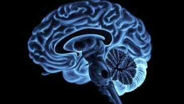 Un homme paralysé écrit avec le pouvoir de la pensée seule grâce à une puce implantée dans le cerveau