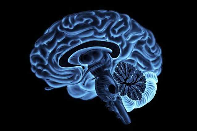 Un homme paralysé écrit avec le pouvoir de la pensée seule grâce à une puce implantée dans le cerveau 1 Un homme paralysé écrit avec le pouvoir de la pensée seule grâce à une puce implantée dans le cerveau