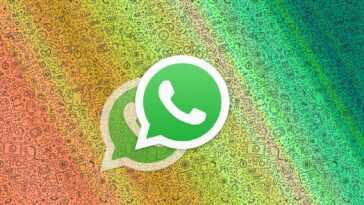 Aujourd'hui, les nouvelles règles WhatsApp arrivent: que se passe-t-il si vous ne les acceptez pas? 25 Aujourd'hui, les nouvelles règles WhatsApp arrivent: que se passe-t-il si vous ne les acceptez pas?