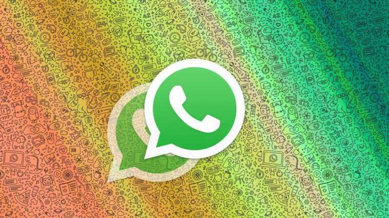 Aujourd'hui, les nouvelles règles WhatsApp arrivent: que se passe-t-il si vous ne les acceptez pas? 1 Aujourd'hui, les nouvelles règles WhatsApp arrivent: que se passe-t-il si vous ne les acceptez pas?