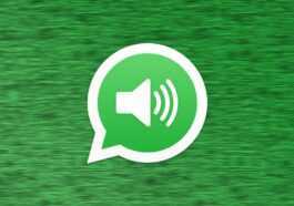 Maintenant, vous pouvez écouter les messages vocaux à double vitesse sur WhatsApp - voici comment