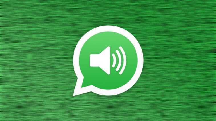 Maintenant, vous pouvez écouter les messages vocaux à double vitesse sur WhatsApp - voici comment 1 Maintenant, vous pouvez écouter les messages vocaux à double vitesse sur WhatsApp - voici comment