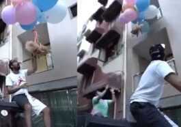 Attache son chien à des ballons à l'hélium pour une vidéo YouTube: arrêté