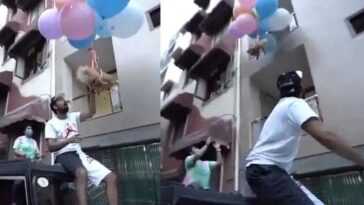 Attache son chien à des ballons à l'hélium pour une vidéo YouTube: arrêté 2 Attache son chien à des ballons à l'hélium pour une vidéo YouTube: arrêté