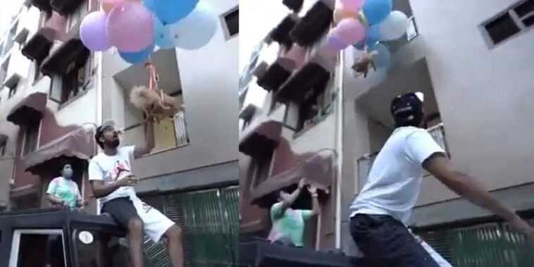 Attache son chien à des ballons à l'hélium pour une vidéo YouTube: arrêté 1 Attache son chien à des ballons à l'hélium pour une vidéo YouTube: arrêté
