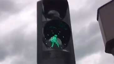 À Rotterdam, les feux de signalisation jouent à Måneskin 28 À Rotterdam, les feux de signalisation jouent à Måneskin