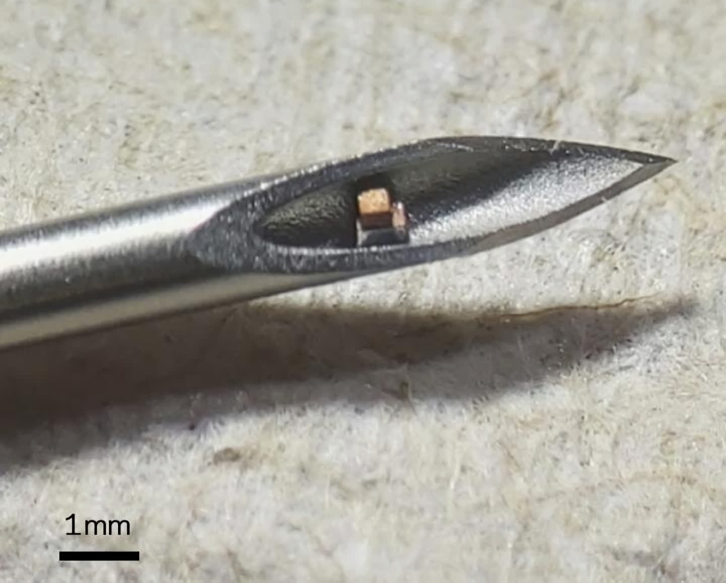 Les chercheurs développent une puce microscopique injectable pour surveiller les conditions physiologiques 2 Les chercheurs developpent une puce microscopique injectable pour surveiller les