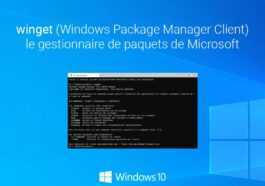 Microsoft Publie La Premiere Version De Windows Package Manager