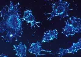 Pilule révolutionnaire contre le cancer du poumon approuvée 80 Pilule révolutionnaire contre le cancer du poumon approuvée