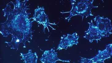 Pilule révolutionnaire contre le cancer du poumon approuvée