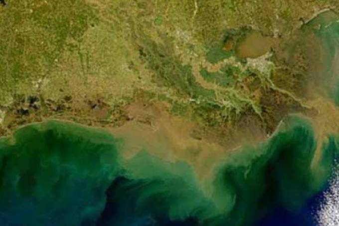Zonas muertas: las regiones oceánicas con contenido reducido de oxígeno existen desde hace más de 1,2 millones de años 3 162267326694 Zonas muertas Regiones oceánicas con reducción