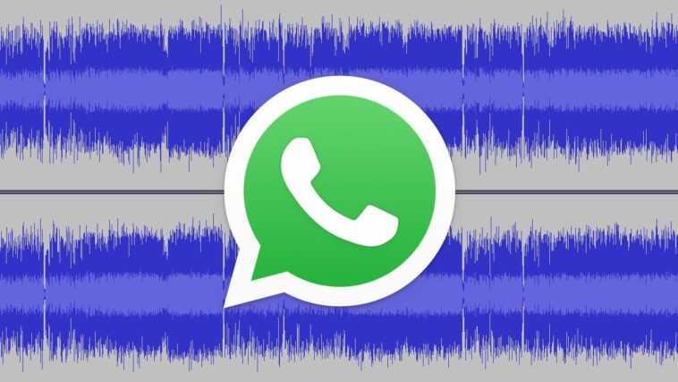 WhatsApp appellera votre mobile pour vérifier votre profil 1 WhatsApp appellera votre mobile pour vérifier votre profil