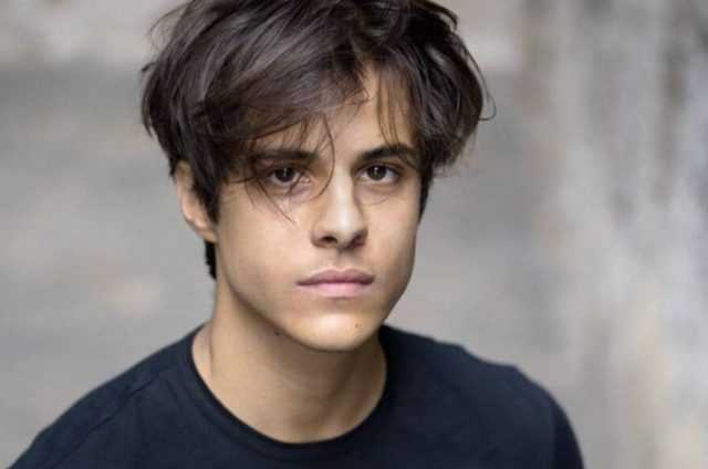 Qu'est la leucémie proméliocytaire aiguë qui a tué le chanteur Michele Merlo 1 Quelle est la leucémie proméliocytaire aiguë qui a tué le chanteur Michele Merlo