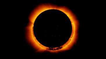 L'éclipse solaire annulaire assombrit le ciel du 10 juin : comment, où et quand voir l'anneau de feu