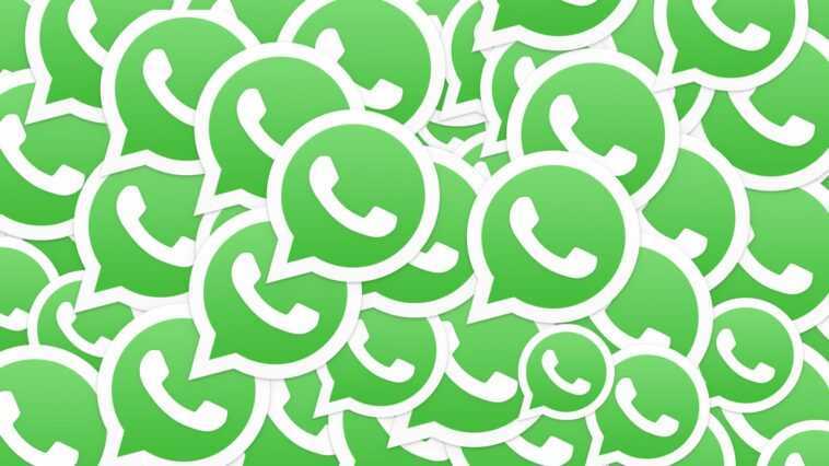 Que se passe-t-il si vous n'utilisez pas votre compte WhatsApp pendant 45 jours 1 Que se passe-t-il si vous n'utilisez pas votre compte WhatsApp pendant 45 jours