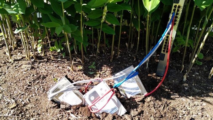 Backblaze nos permite tener nuestra propia cultura de Chia en la nube 2 1623455285709 Backblaze nos permite tener nuestra propia cultura de Chia en