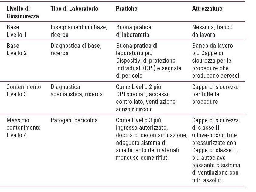 Que font les scientifiques lorsqu'ils étudient des virus "dangereux" en laboratoire 2 1623675529 317 Que font les scientifiques lorsquils etudient des virus dangereux en