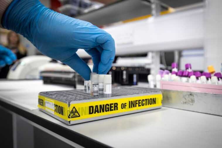 Que font les scientifiques lorsqu'ils étudient des virus "dangereux" en laboratoire 1 Que font les scientifiques lorsqu'ils étudient des virus "dangereux" en laboratoire