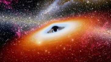 Pour la première fois, nous avons observé la fusion entre un trou noir et une étoile à neutrons