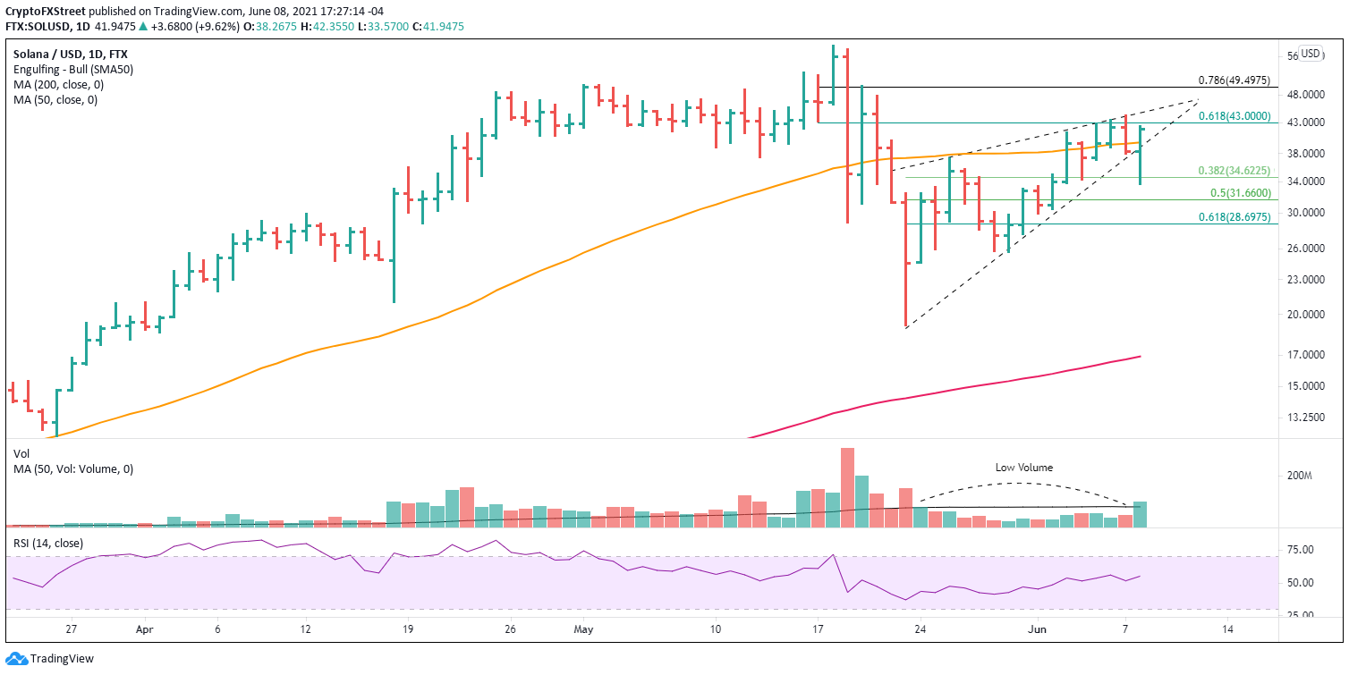 Solana Price rápidamente sacude el sangrado del mercado, ya que SOL busca precios más altos | Criptomoneda 2 Gráfico diario SOL / USD