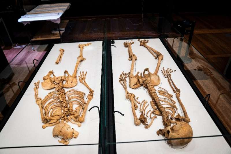 Mil años después, los esqueletos de guerreros vikingos de la misma familia se reúnen en Dinamarca 2 Mil años después, esqueletos de guerreros vikingos de