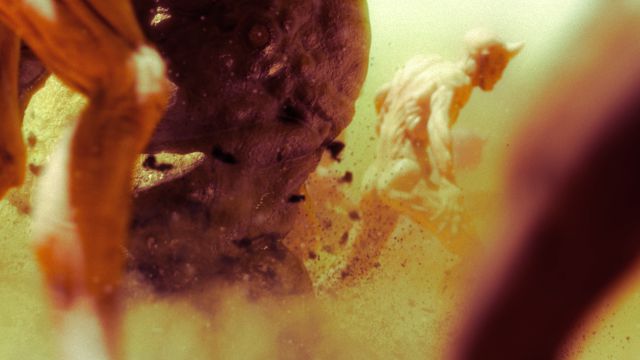 Warhammer 40,000: Chaos Gate - Daemonhunters, primeros detalles del nuevo Tactical RPG 2 Warhammer 40,000: Chaos Gate - detalles del anuncio de Daemonhunters rpg tactical frontier
