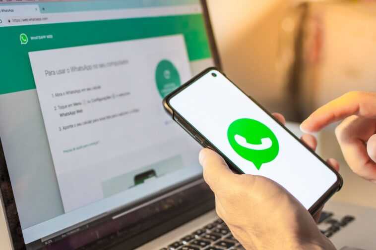 WhatsApp teste des sauvegardes cloud chiffrées sur Android 1 Whatsapp Teste Des Sauvegardes Cloud Chiffrées Sur Android