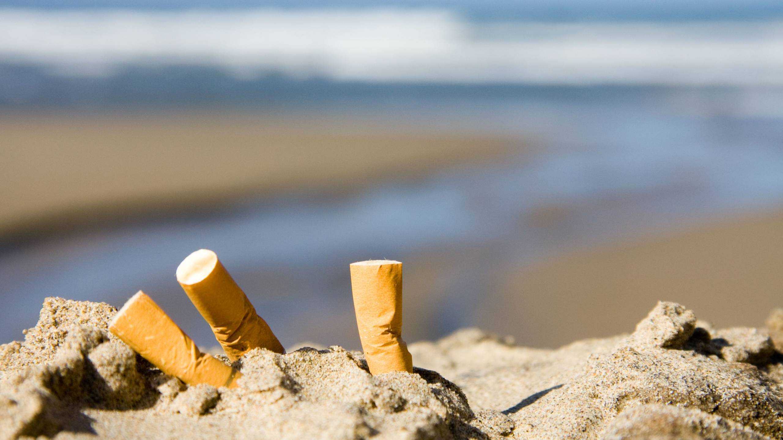 Beachbot, Un Robot Pour Nettoyer Les Fesses De Plage