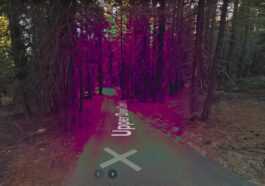 Il Y A Une Forêt « Hantée » Sur Google