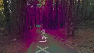 Il y a une forêt « hantée » sur Google Maps 6 Il Y A Une Forêt « Hantée » Sur Google