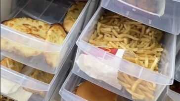 Le Fast Food "éternel": Ce Tiktok Montre Qu'il Ne Pourrit Jamais