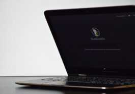 Duckduckgo Lance La Version Bêta De « protection Des E Mails » Qui