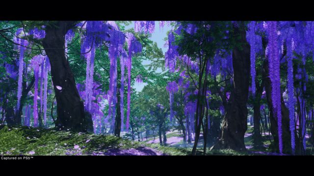 Ghost of Tsushima Director's Cut : comment passer de PS4 à PS5, prix et options 2 La coupe du réalisateur de Ghost of Tsushima