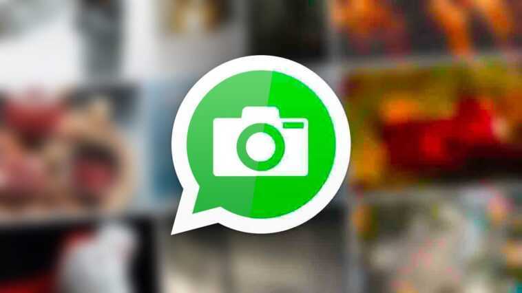La nouveauté de WhatsApp qui améliore la qualité des photos envoyées 1 La Nouveauté De Whatsapp Qui Améliore La Qualité Des Photos