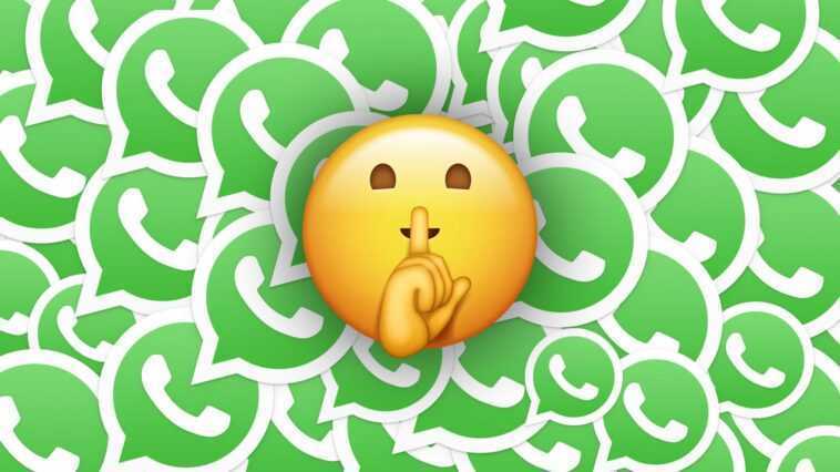 La nouveauté de WhatsApp qui protège vos chats même de la police 1 La Nouveauté De Whatsapp Qui Protège Vos Chats Même De