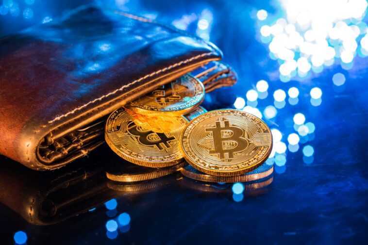 Square construit un portefeuille matériel pour Bitcoin 1 Square Construit Un Portefeuille Matériel Pour Bitcoin