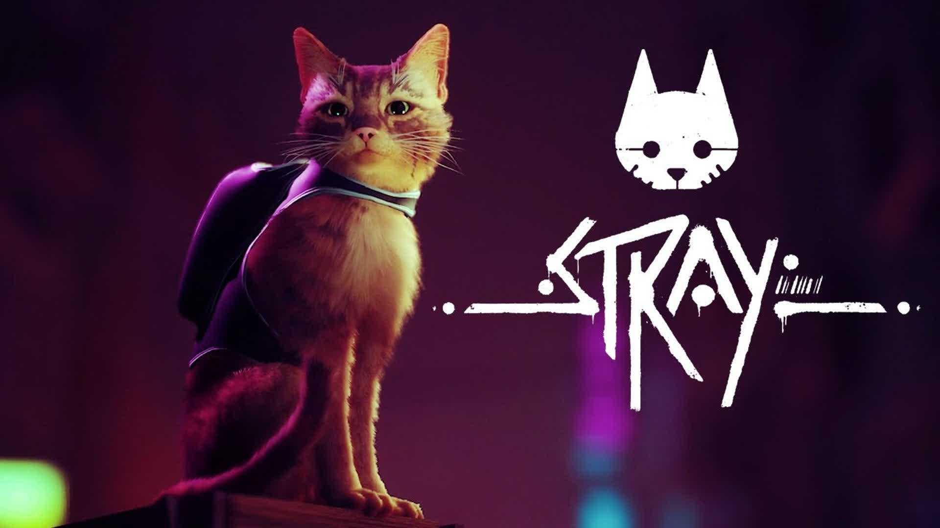 Stray Est Un Simulateur De Chat Convaincant Qui Se Dirigera
