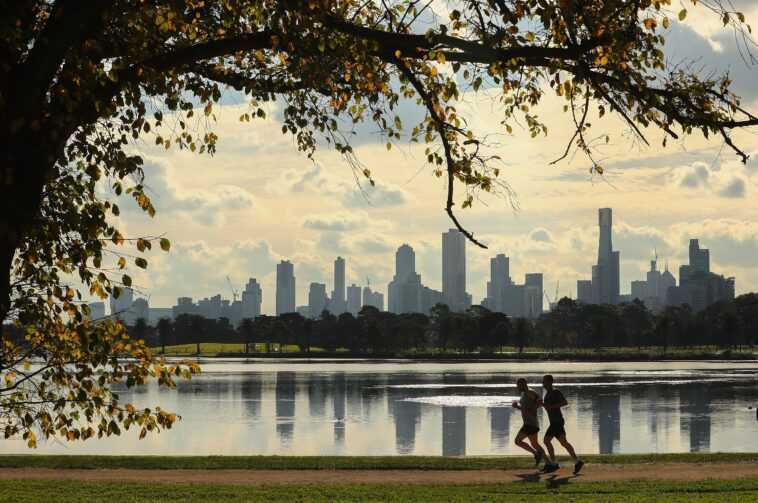 Un arbre suffit à rafraîchir une ville entière 1 Un Arbre Suffit à Rafraîchir Une Ville Entière